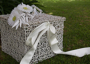 A surprise wedding gift - release a pair of white doves