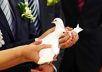 A white dove wedding release joining two families together